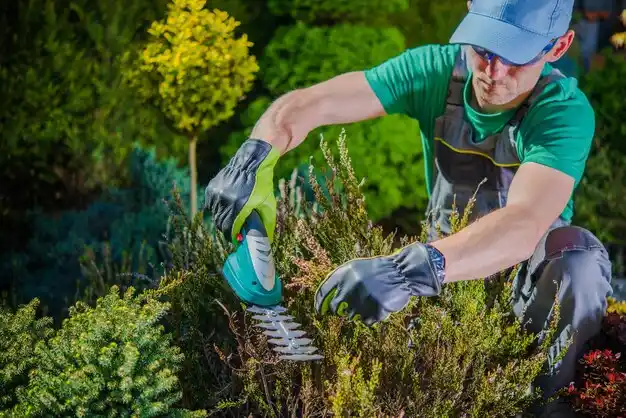 landscaping services North Baltimore